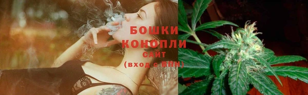 PSILOCYBIN Михайловск