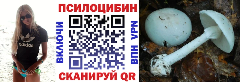 что такое   Усть-Кут  Псилоцибиновые грибы мухоморы 